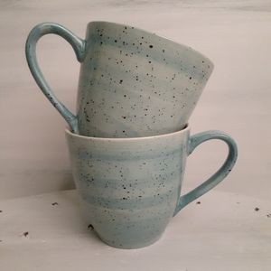Robin's Egg Mugs